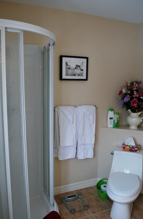 Au Gite De La Chute Saint-Jean-de-Boischâtel Szoba fotó